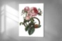 Картина Мода Логотип Gucci розы на белом фоне - печать на холсте