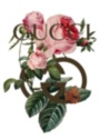Картина Мода Логотип Gucci розы на белом фоне - печать на холсте