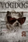Картина ➤ В наличии VOGDOG Собачка чихуахуа в очках на обложке журнала - печать на холсте