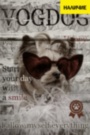 Картина ➤ В наличии VOGDOG Собачка чихуахуа в очках на обложке журнала - печать на холсте