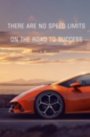 Картина THERE ARE NO SPEES LIMITS принт с мотивирующей надписью на холсте