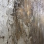 Картина маслом Абстракция животное бык коричневый бежевый