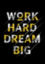 Картина WORK HARD DREAM BIG принт с мотивационной надписью на холсте
